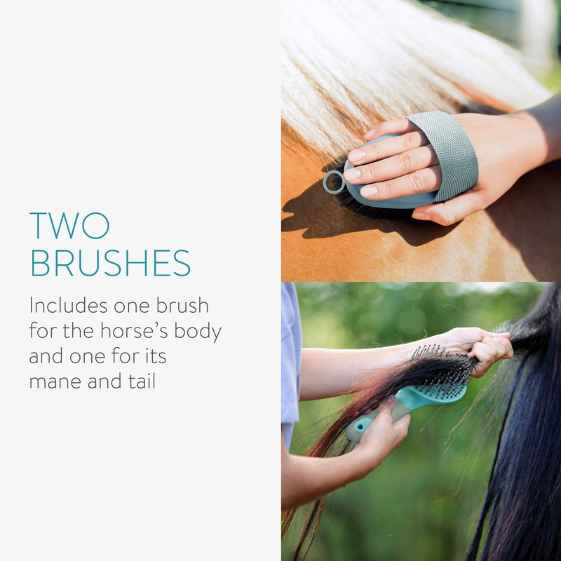 Navaris Horse Grooming Brush Set - 2X Equestrian Brushes for Horses Tail Mane and Body Groom Kit Comb Set - Detangling Horse Hair Brush - BeesActive Australia