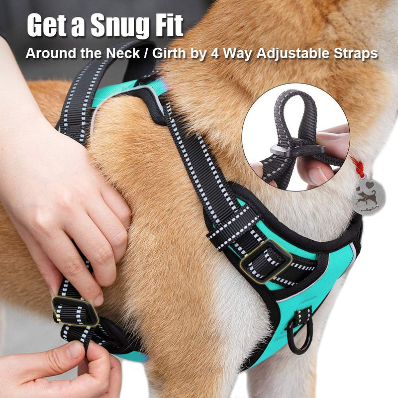 PoyPet No Pull Dog Harness, Reflective Vest Harness with 2 Leash Attachments and Easy Control Handle for Small Medium Large Dog Mint Blue - BeesActive Australia