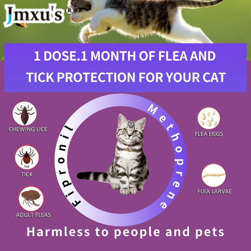 Flea and Tick Prevention for Cats, Cat Flea & Tick Control with Fipronil, Long-Lasting & Fast-Acting Topical Flea & Tick Treatment Drops for Kitten, 3 Doses - BeesActive Australia