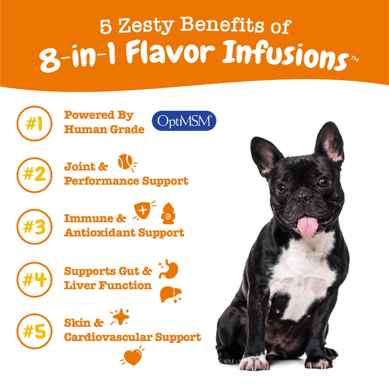 Zesty Paws 8-in-1 Flavor Infusions for Dogs - Glucosamine, Chondroitin, and MSM for Pet Hip & Joint Health - Omega 3 Fish Oil for Skin - for Dog Gut, Immune, Heart, Kidney & Liver Support - 16 fl oz - BeesActive Australia