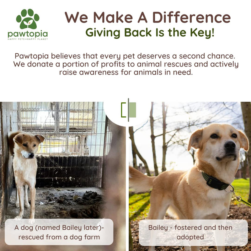 Pawtopia Certified Home Compostable Dog Poop Bags (120 Bags), Biodegradable Poop Bags, Cat Litter, Vegetable Starches, Eco-friendly Dog Waste Bags, Leak proof, Easy to Open, Give Back 120 Count (Pack of 1) Rolls only - BeesActive Australia
