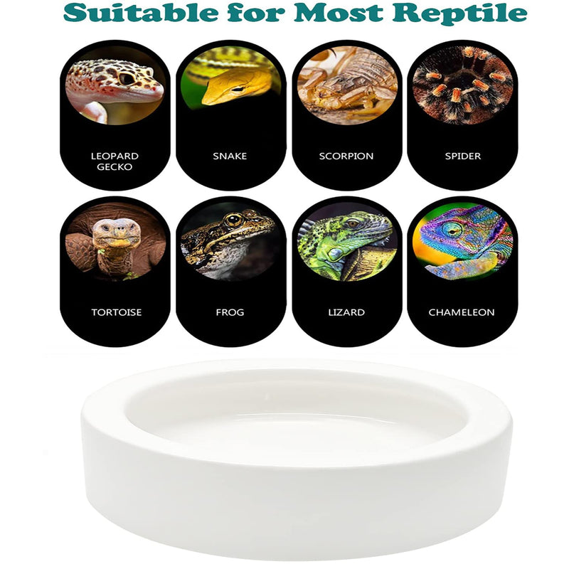 iHomeSet 3 Pcs Reptile Food Bowl with Feeding Tongs, Ceramic Water Feeder Bowl for Lizard Anoles Bearded Dragons Crested Gecko Hermit Crabs Triangular, White, 2.7 inch - BeesActive Australia