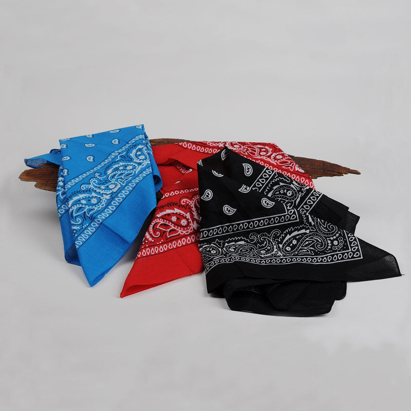 BSLINO Bandanas 24pcs 22 X 22 Inch 100% Cotton Bandana Novelty Double Sided Print Paisley Cowboy Bandana Party Favor Scarf Headband Handkerchiefs Two Dozen - BeesActive Australia