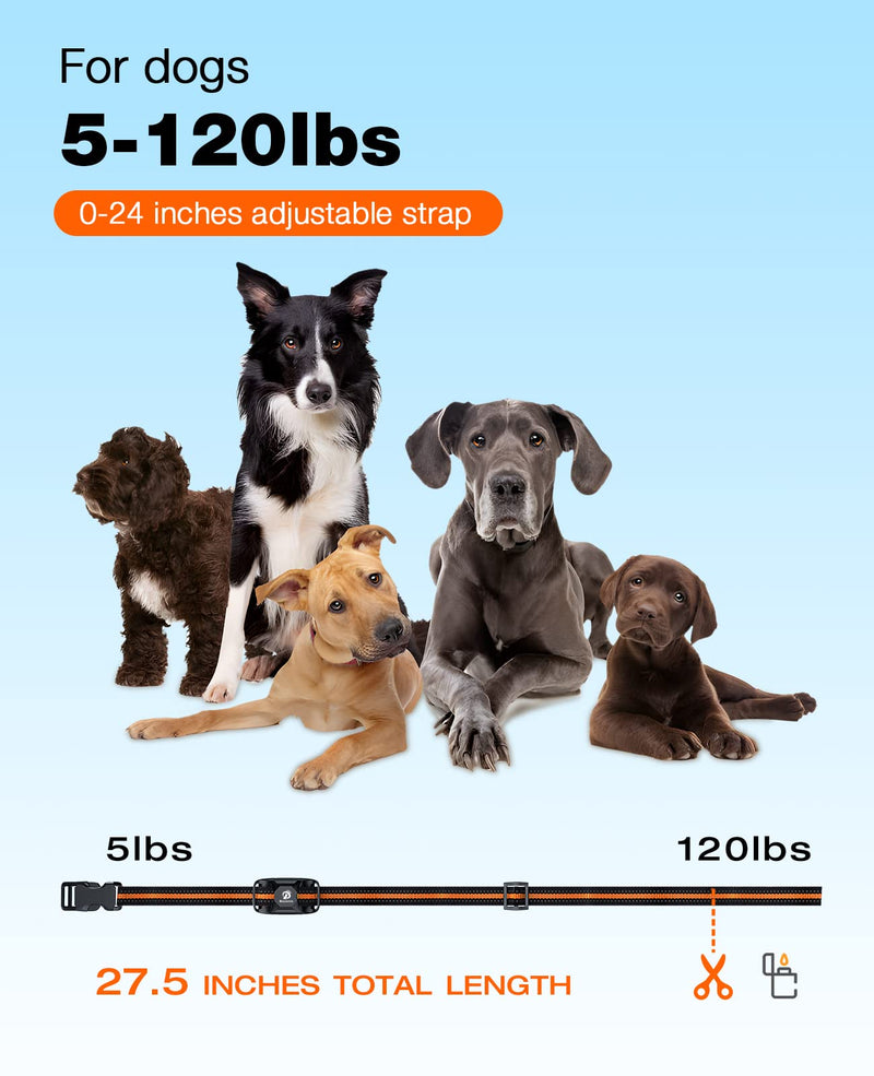 Bousnic Dog Shock Collar - 3300Ft Dog Training Collar with Remote for 5-120lbs Small Medium Large Dogs Rechargeable Waterproof e Collar with Beep (1-8), Vibration(1-16), Safe Shock(1-99) (Orange) - BeesActive Australia