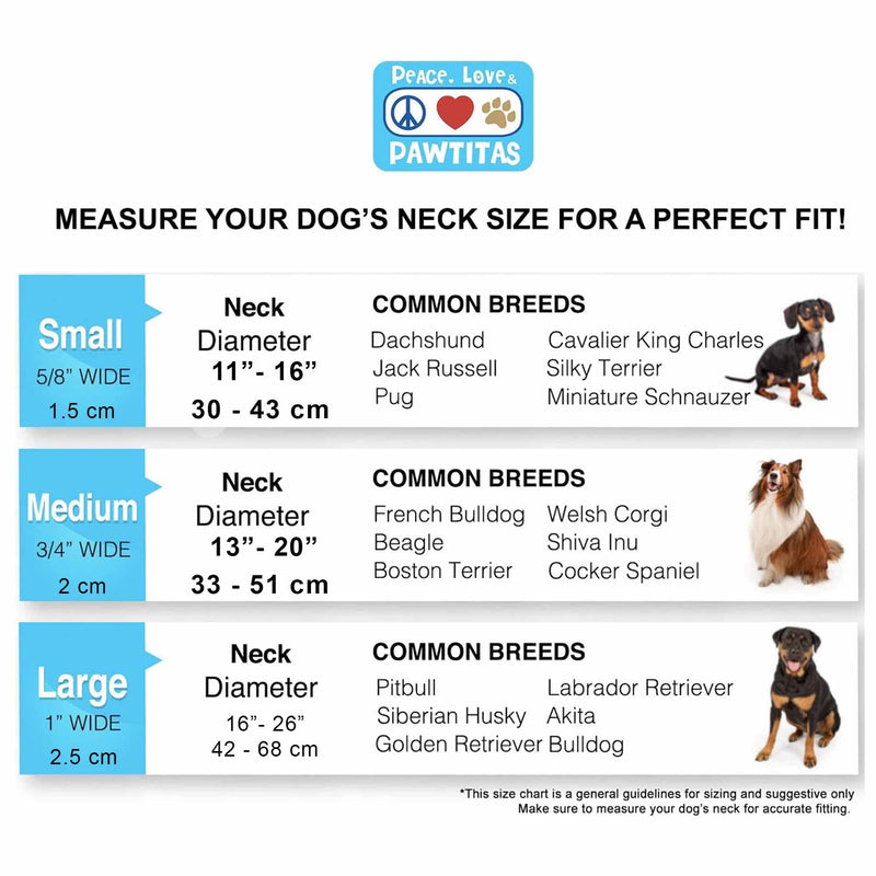 Pawtitas Martingale Dog Collar Puppy Collar Reflective Dog Collar Training Dog Collar Behavioral Dog Collar Medium (Pack of 1) Black - BeesActive Australia