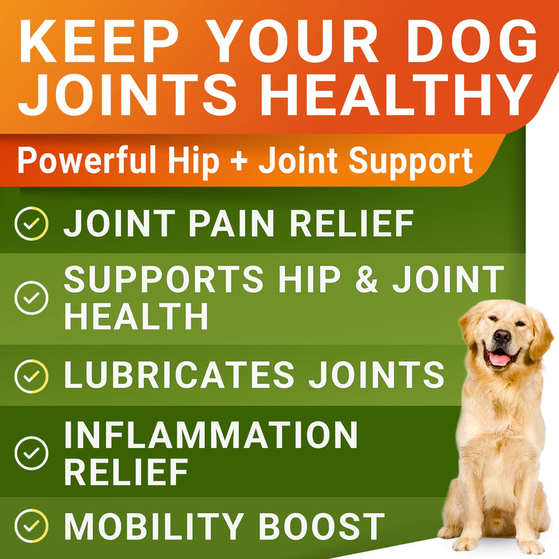 STRELLALAB Glucosamine Treats for Dogs - Joint Supplement w/Omega-3 Fish Oil - Chondroitin, MSM - Advanced Mobility Chews - Joint Pain Relief - Hip & Joint Care - Made in USA Bacon 120 Treats - BeesActive Australia