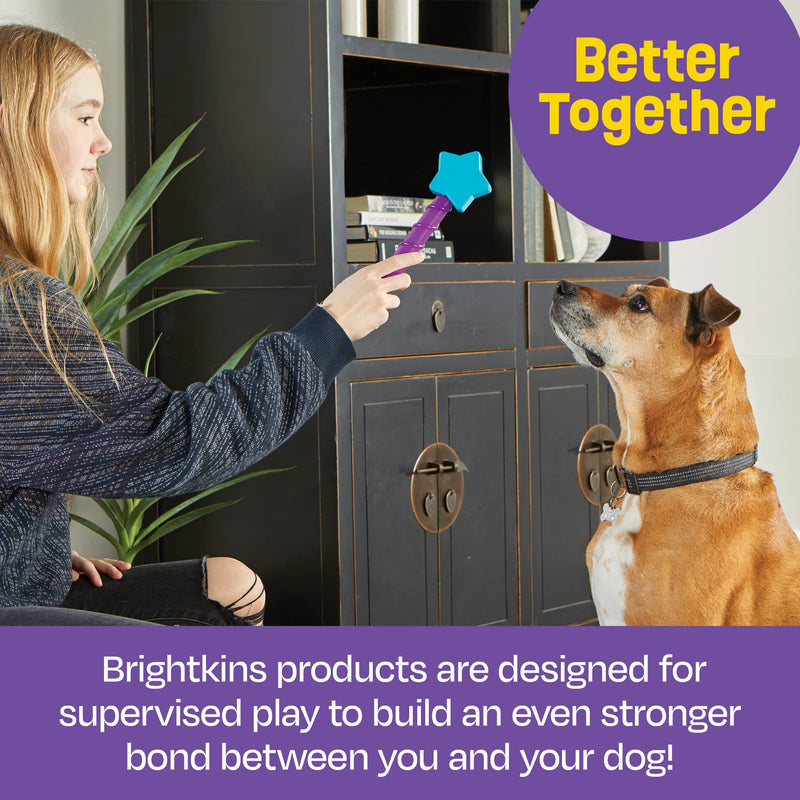 Brightkins Magic Wand Treat Dispenser: Star - 1 Piece Dog Treat Holder, Treat Dispenser for Dogs, Multicolor - BeesActive Australia