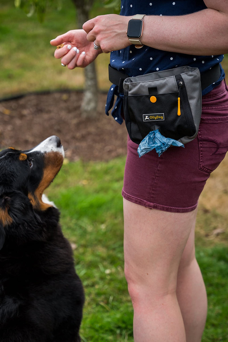 OllyDog Backcountry Day Bag, Fanny Pack, Dog Treat Pouch, Hands-Free for Training, Hip Pack with Built-in Poop Bag Dispenser, Removable Waist Belt Clip, Travel Dog Treat Container Tree Hugger - Night - BeesActive Australia