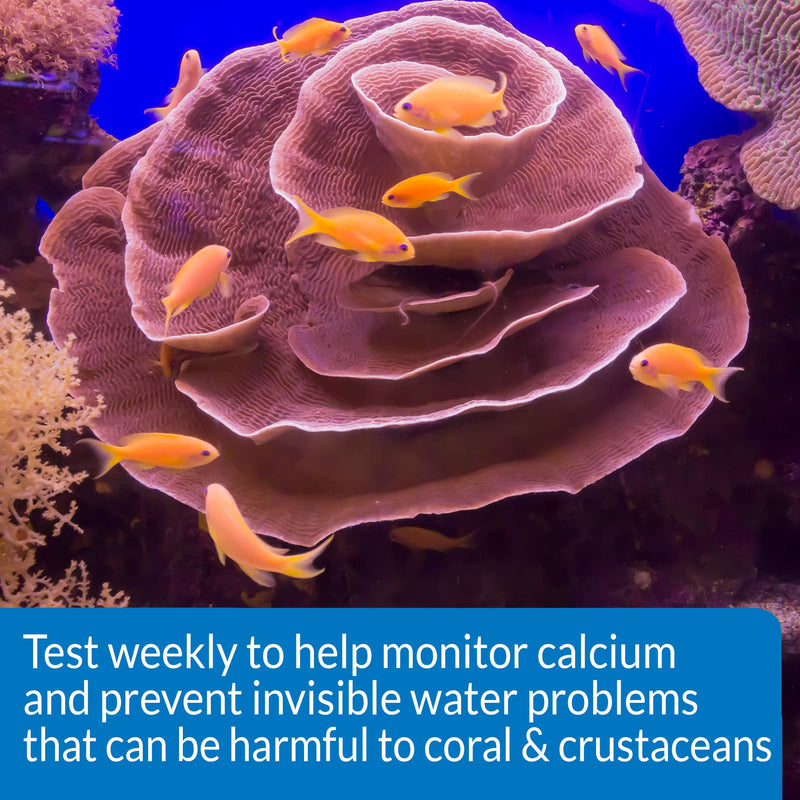 API CALCIUM TEST KIT Saltwater Aquarium Water 1-Count Test Kit, 69L (69L) - BeesActive Australia