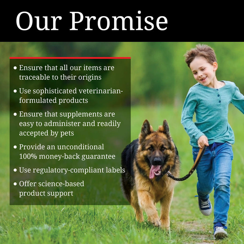 Nutri-Vet Probiotics Capsules for Dogs | Supports Digestive Health | For All Size Dogs | Promotes Healthy Immune System | Vet Formulated | 60 Count Capsules - BeesActive Australia