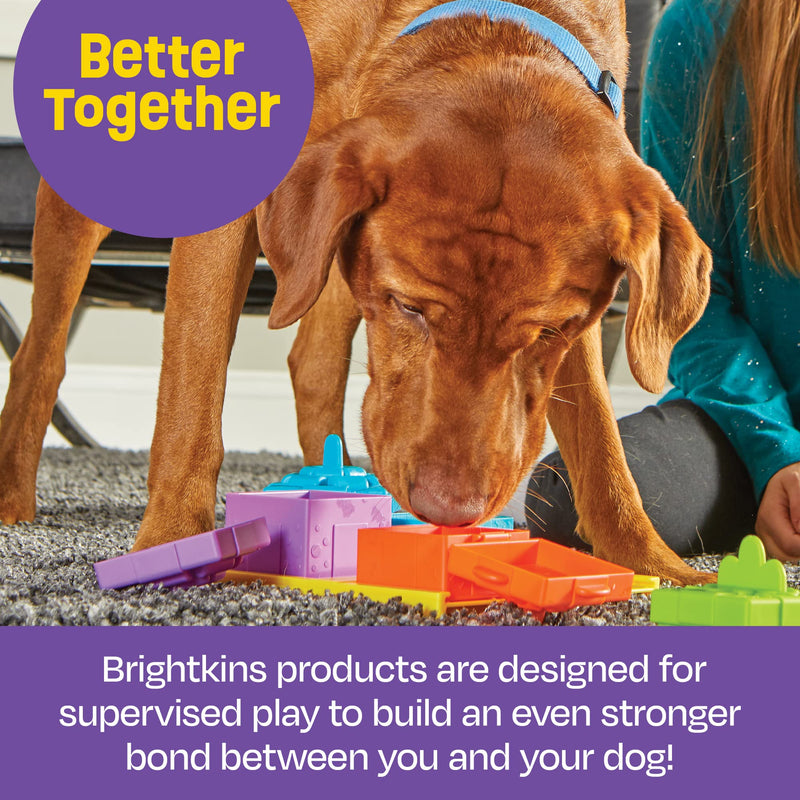 Brightkins Surprise Party Treat Puzzle - 4way Interactive Puzzle, Puzzles for Dogs, Toys for Dog Stimulation, Dog Treat Puzzles, Multicolor - BeesActive Australia