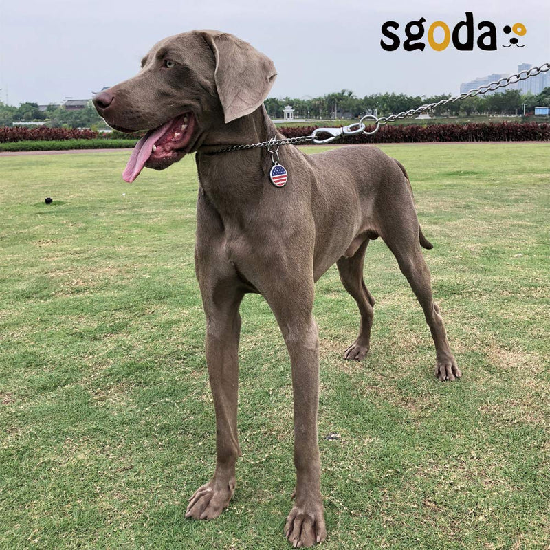 SGODA Chain Dog Training Choke Collar, 304 Stainless Steel 25", 4mm - BeesActive Australia