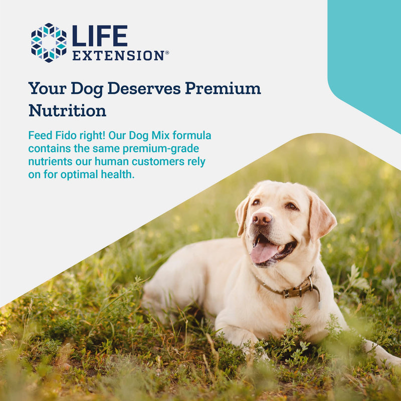 Life Extension Dog Mix - Daily Nutrition Care Supplement Powder for Your Canine Pet - Advanced Formula with Vitamins, Probiotics & Essential Fatty Acids - Gluten-Free, Non-GMO – 100 g, 60 Servings - BeesActive Australia