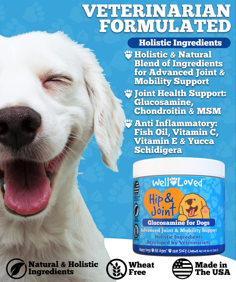 Well Loved Glucosamine for Dogs - Joint Supplement for Dogs, Made in USA, Vet Developed, Dog Joint Supplement, Glucosamine Chondroitin for Dogs, Advanced Hip and Joint Chews with MSM, Pain Relief, 120 - BeesActive Australia