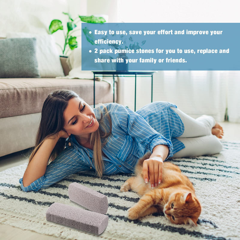 2 Pieces Pet Hair Remover for Cat Hair Removal Pumice Stone Tool Carpet Dog Fur Removal Tool for Car Couch Furniture Bedding Easy to Clean 5.3 Inches - BeesActive Australia