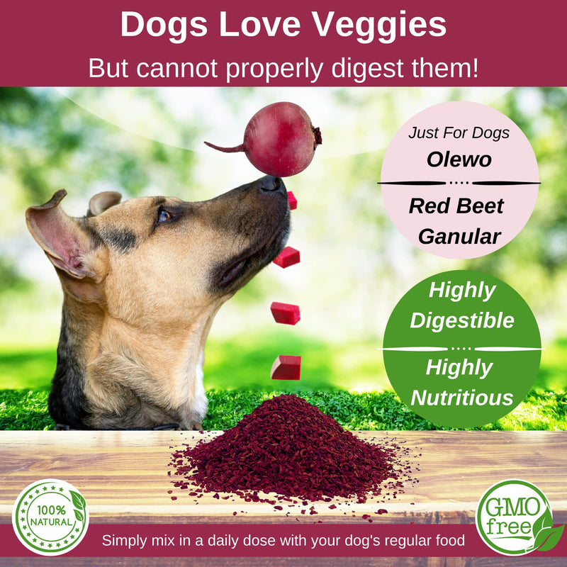 Olewo Red Beet Granular – Natural Immune Support - Anti Itch, Skin & Coat, Seasonal Allergies – Digestive Prebiotic Fiber 22 oz - BeesActive Australia