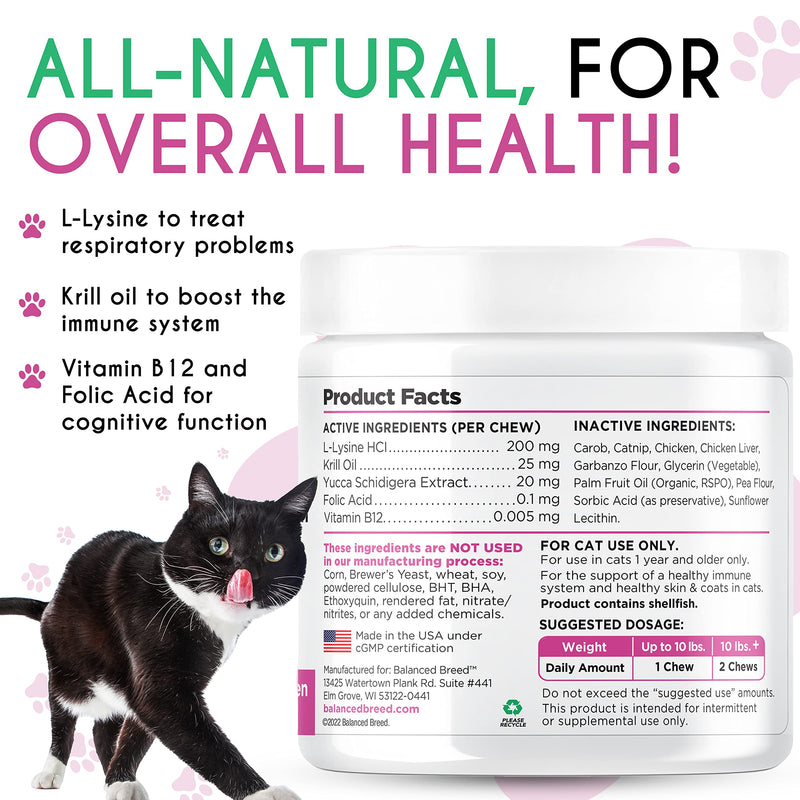 Balanced Breed L-Lysine for Cats Immune Support Skin Coat Sneezing Runny Nose Watery Eyes Cat Multivitamin Omega 3 Cat Vitamins B12 & Folic Acid Natural Booster Supplements Chicken Flavor Catnip Treat - BeesActive Australia