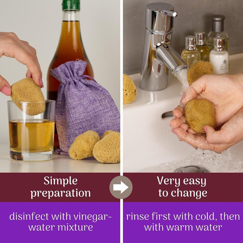 tom&pat Menstrual Sponge, Natural Tampon Alternative, DERMATEST: Very Good, with Jute Bag & Changeable Box for on The go, Natural Sponge as Period Sponge, Reusable, Zero Waste (Size: M / 5 x 5-7 cm) 5 pieces (5-7 cm) - BeesActive Australia