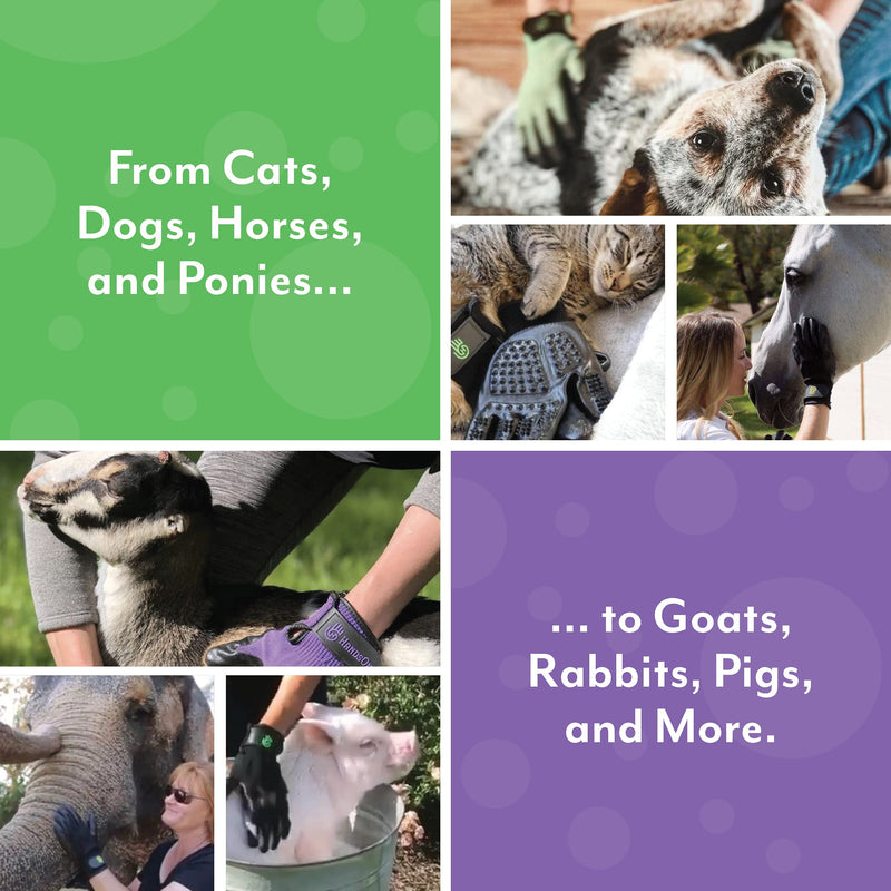 HandsOn Pet Grooming Gloves - Patented #1 Ranked, Award Winning Shedding, Bathing, & Hair Remover Gloves - Gentle Brush for Cats, Dogs, and Horses Grey Medium (Pack of 1) - BeesActive Australia