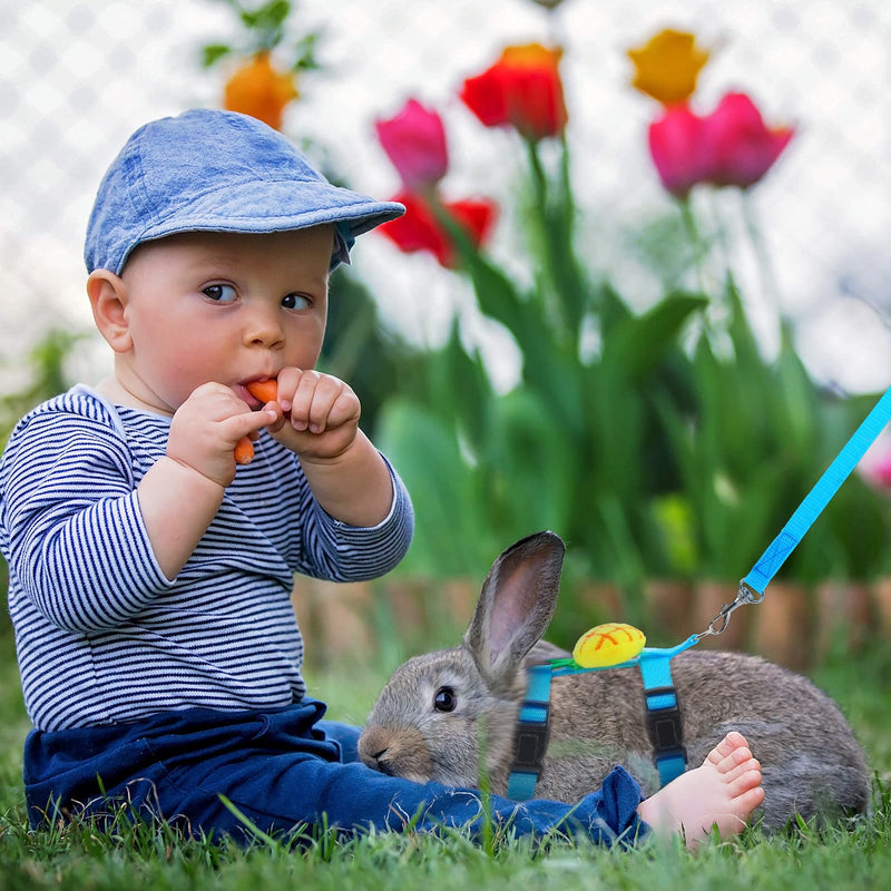 4 Sets Adjustable Bunny Rabbit Harness and Leash Set Small Pet Cute Vest Harness Leash Ferret Harness Guinea Pig Harness Ferret Leash with Decorations for Bunny Kitten Puppy, Small Pets Fruit - BeesActive Australia