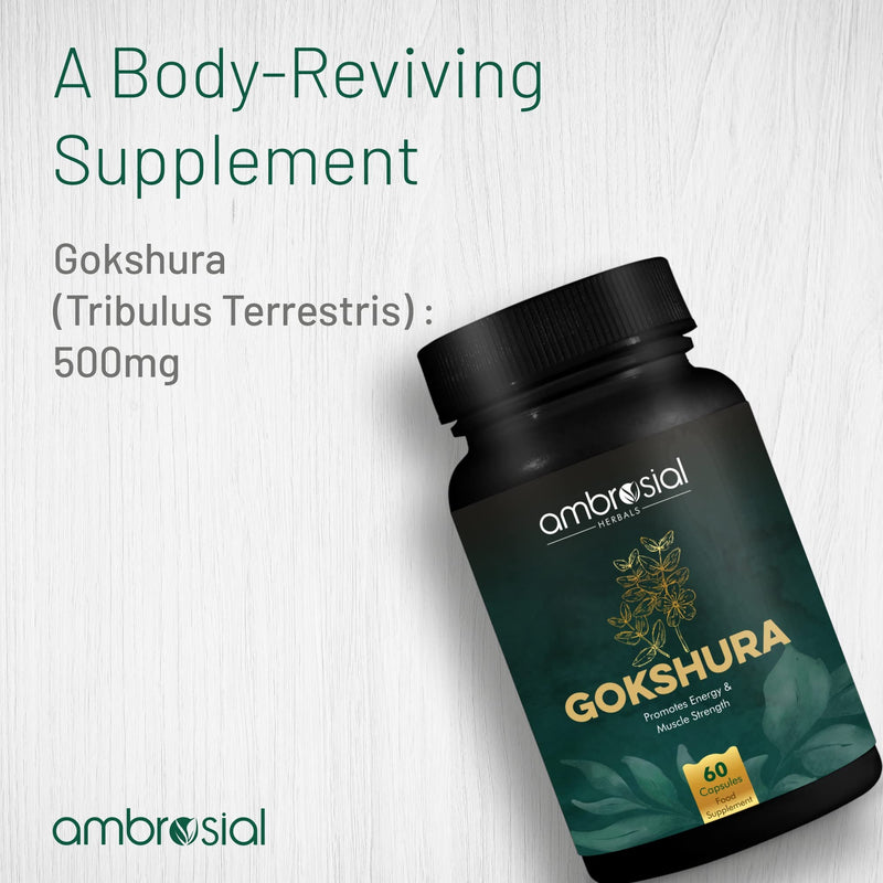 Ambrosial Gokshura Tribulus Terrestris High Strength 500 mg per Capsule | Tribulus Terrestris Extract Capsules for Men & Women | Herbal Supplement for Energy & Immunity (Pack of 1-60 Capsules) 60 count (Pack of 1) - BeesActive Australia