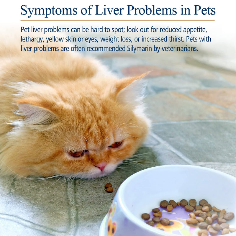 Rx Vitamins Hepato Support for Dogs & Cats - Milk Thistle Supplement for Pets - 100mg Milk Thistle for Healthy Liver Function - Silymarin Capsules for Pets - 180 ct. - BeesActive Australia