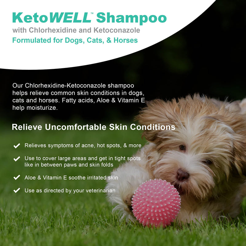 VetWELL Ketoconazole Chlorhexidine Shampoo for Dogs & Cats - Medicated Shampoo for The Treatment of Skin Infections, Growths, Abrasions, Acne, & Hot Spots Oatmeal & Aloe 12oz Mint Scent - BeesActive Australia