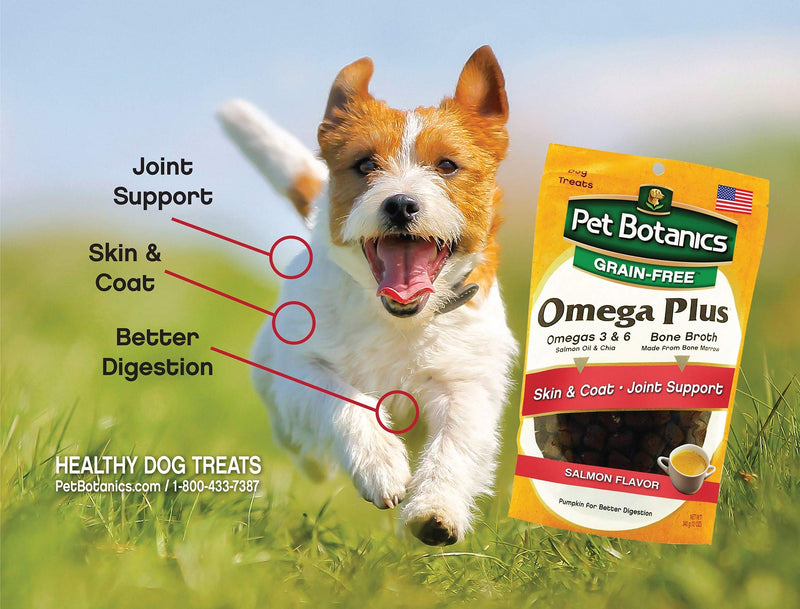 Pet Botanics Health Omega plus Grain Free 12 oz. Salmon 12 Ounce (Pack of 1) - BeesActive Australia