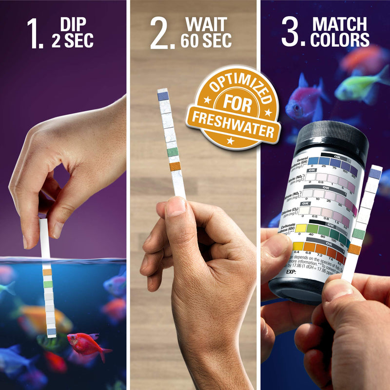 Freshwater Aquarium Test Strips 6 in 1 - Fish Tank Test Kit for Testing pH Nitrite Nitrate Chlorine General & Carbonate Hardness (GH & KH) - Easy to Read Wide Strips & Full Water Testing Guide, 116 Ct - BeesActive Australia