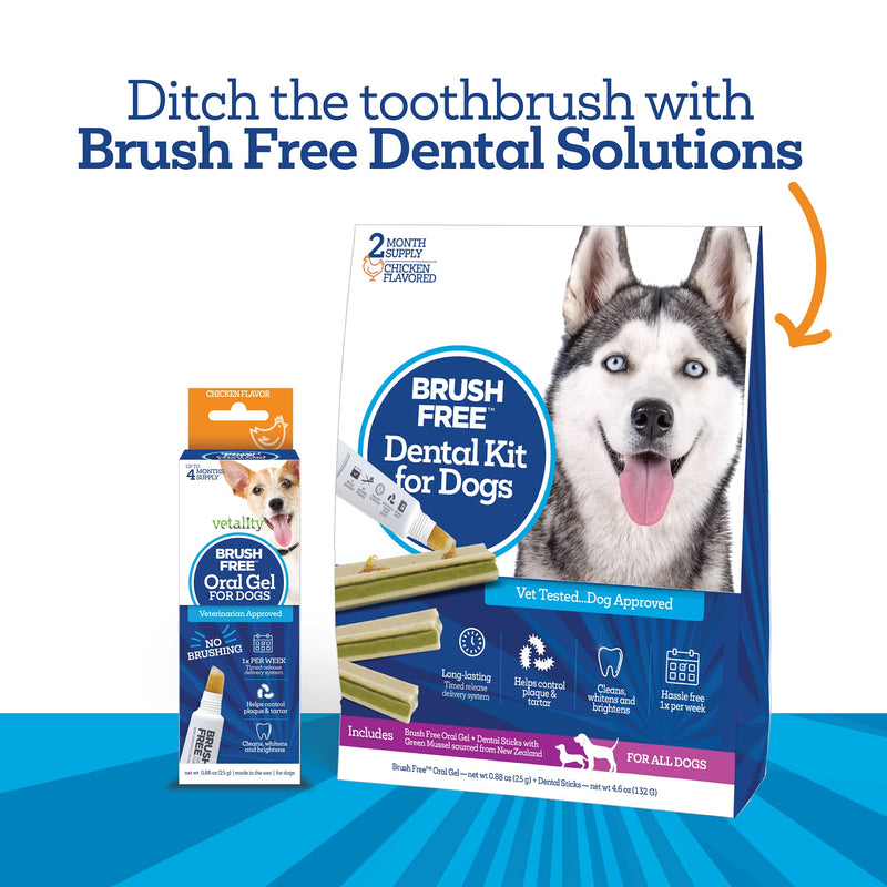 Vetality Brush Free Oral Gel for Dogs | Vet Formulated Dental Care with ProLong Technology | Cleans Teeth and Gums - BeesActive Australia