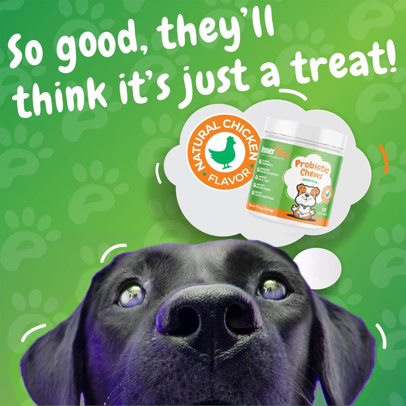 Inner Paw Probiotic Chews for Dogs – 120 Soft Chews Dog Vitamins and Supplements - Natural 2 Billion CFU Dog Digestive Enzymes -Delicious Chicken Flavor – Supports Gut and Immune Health - BeesActive Australia