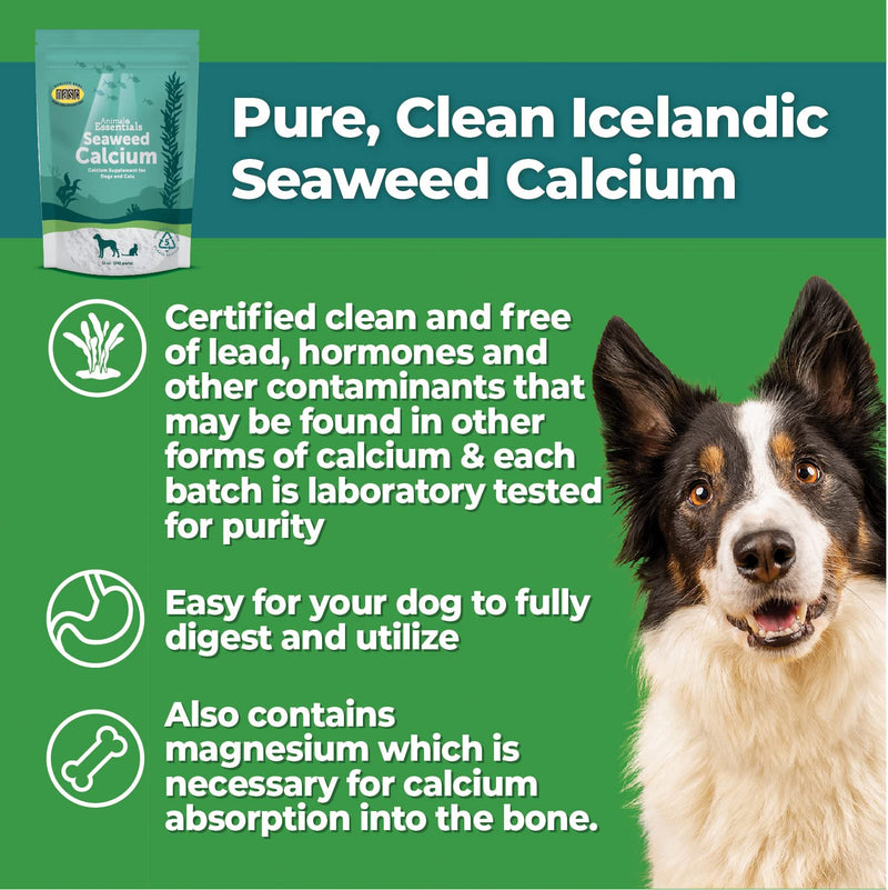 Animal Essentials Seaweed Calcium Supplement for Dogs & Cats, 12 oz - Iceland Seaweed Magnesium, Boron, Zinc - BeesActive Australia