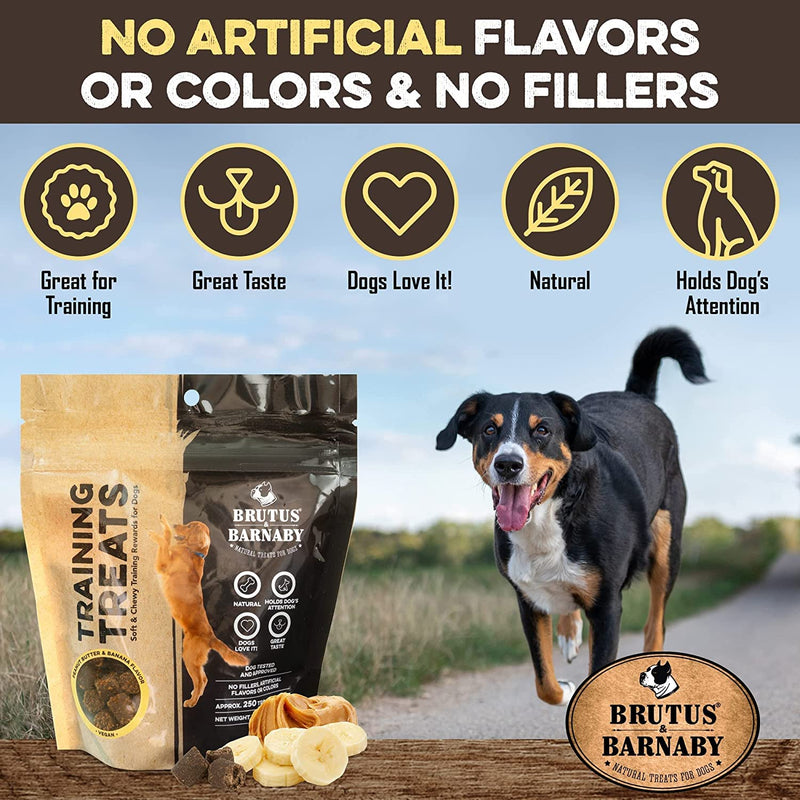 BRUTUS & BARNABY Training Treats for Dogs - Peanut Butter & Banana - All-Natural Healthy Low Calorie Vegan Treat - Great to Use for Rewards in Training Your Puppy Or Dog 1 Pound (Pack of 1) - BeesActive Australia