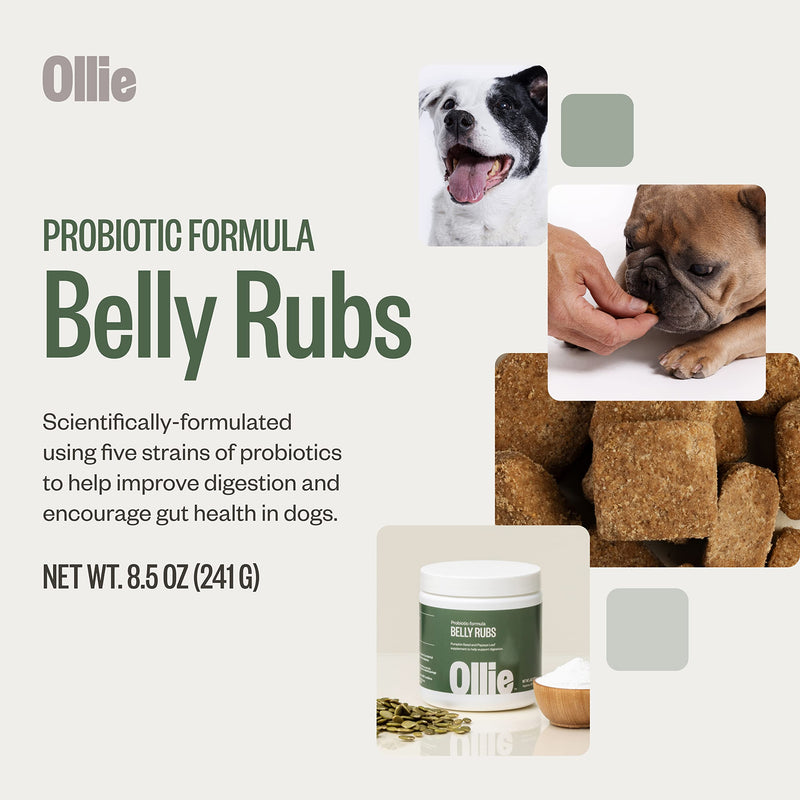 Ollie Dog Supplements Probiotic - BeesActive Australia