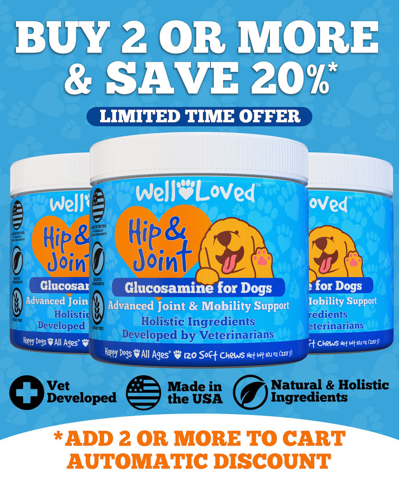 Well Loved Glucosamine for Dogs - Joint Supplement for Dogs, Made in USA, Vet Developed, Dog Joint Supplement, Glucosamine Chondroitin for Dogs, Advanced Hip and Joint Chews with MSM, Pain Relief, 120 - BeesActive Australia