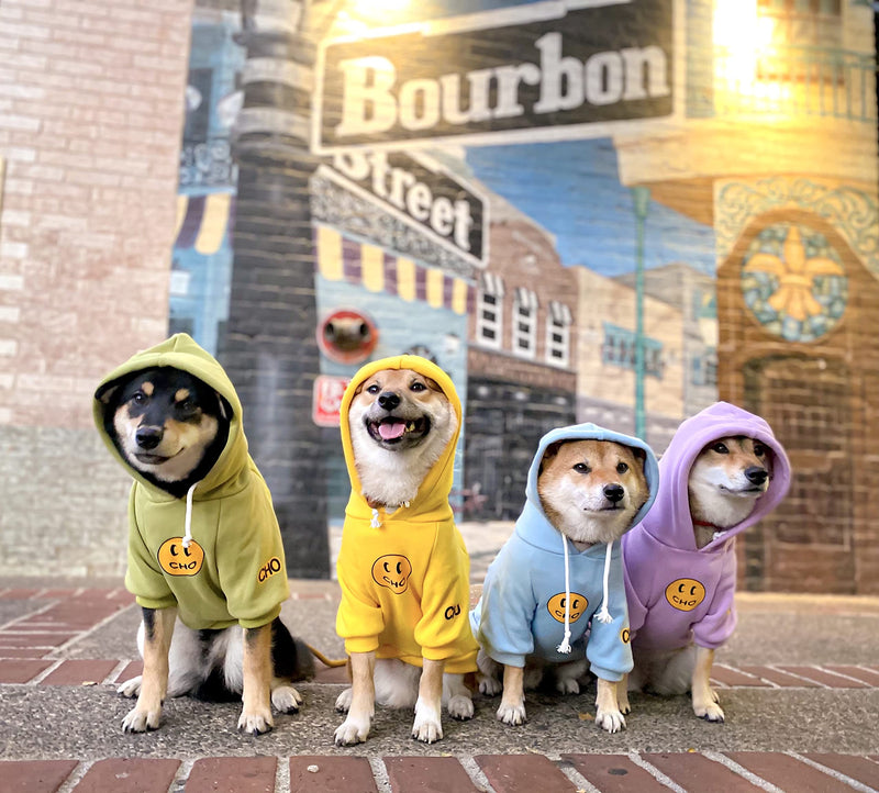 ChoChoCho Smile Dog Hoodie, Smiley Face Dog Sweater, Stylish Dog Clothes, Cotton Sweatshirt for Dogs and Puppies, Fashion Outfit for Dogs Cats Puppy Small Medium Large 3XL (Chest: 23.6''-28'' / Suggest: 31-50 lbs) Baby Blue - BeesActive Australia