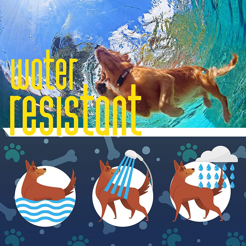 Flea and Tick Prevention for Dogs - Flea Collar - BeesActive Australia