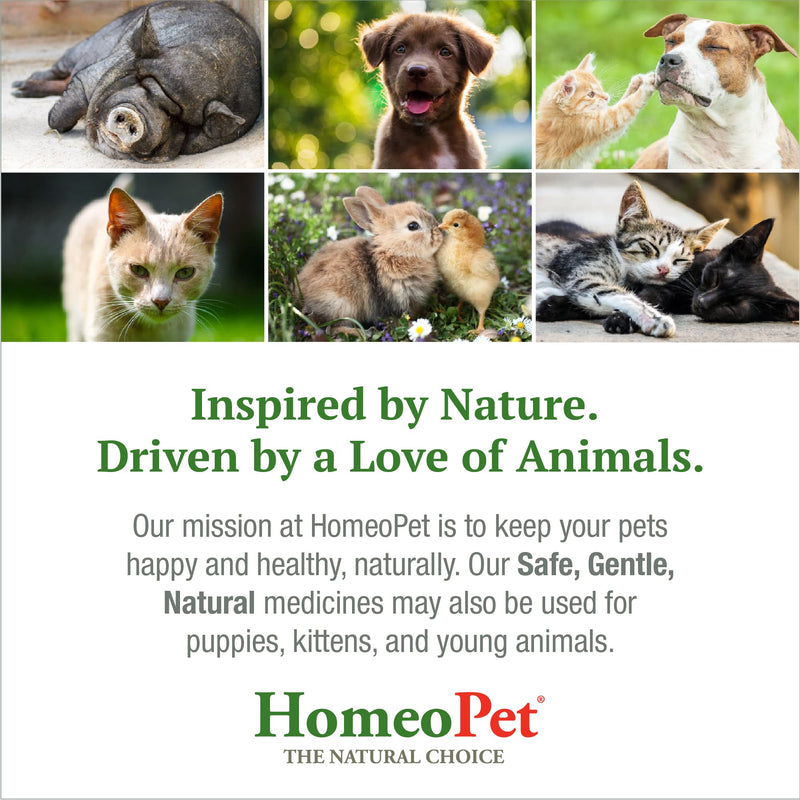 HomeoPet HP Healing Cream, Natural Support for Pet Wound Healing, 14 Grams - BeesActive Australia