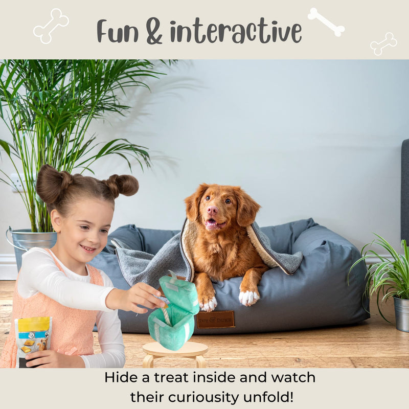 Cheeki Studios Present Plush Dog Toys- Birthday Surprise Interactive Gift Mint - BeesActive Australia