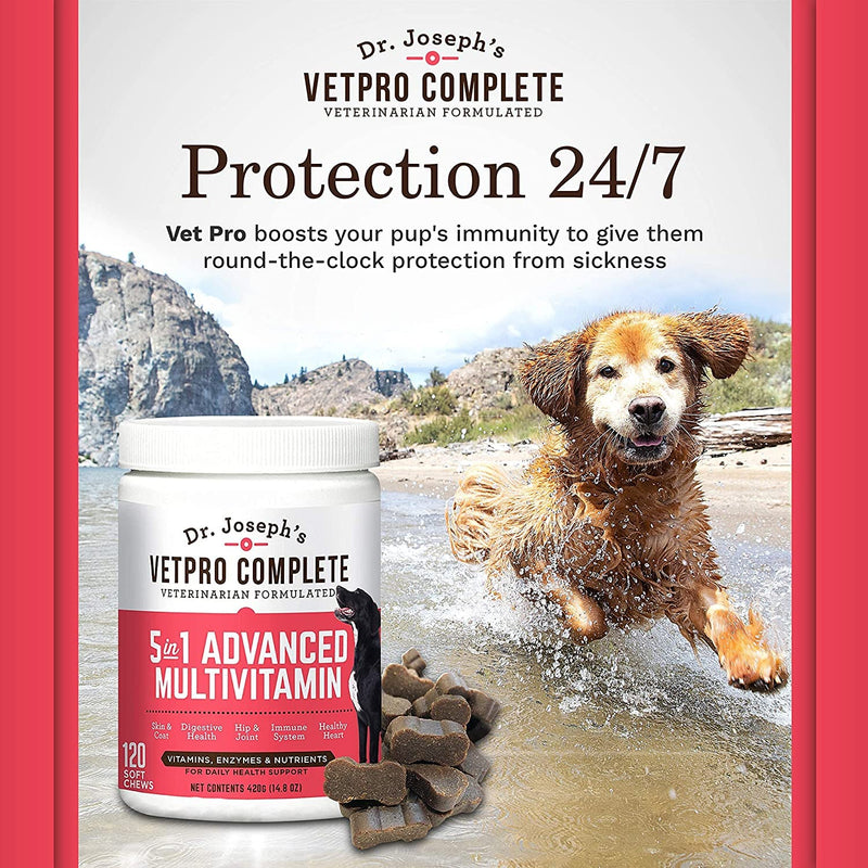 VetPro Dog Vitamins and Supplements - Pet Multivitamins with Probiotics, Glucosamine for Hip and Joint Health, Immune System Support, Allergy Meds - 5 in 1 Chewable Multivitamin for Puppy to Senior - BeesActive Australia