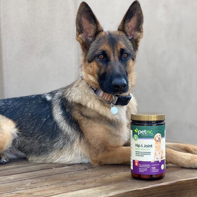 PetNC Natural Care Hip and Joint Health Advanced Chewables for Dogs 150 count - BeesActive Australia