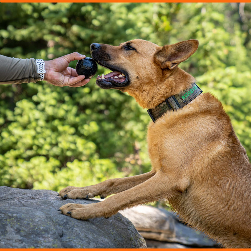 Ultra Durable Solid Dog Ball - Lifetime Replacement Guarantee - Aggressive Chewer Approved - Made in USA - Medium/Large Dogs - Safe & Non-Toxic Natural Rubber - Monster K9 Dog Toys - BeesActive Australia
