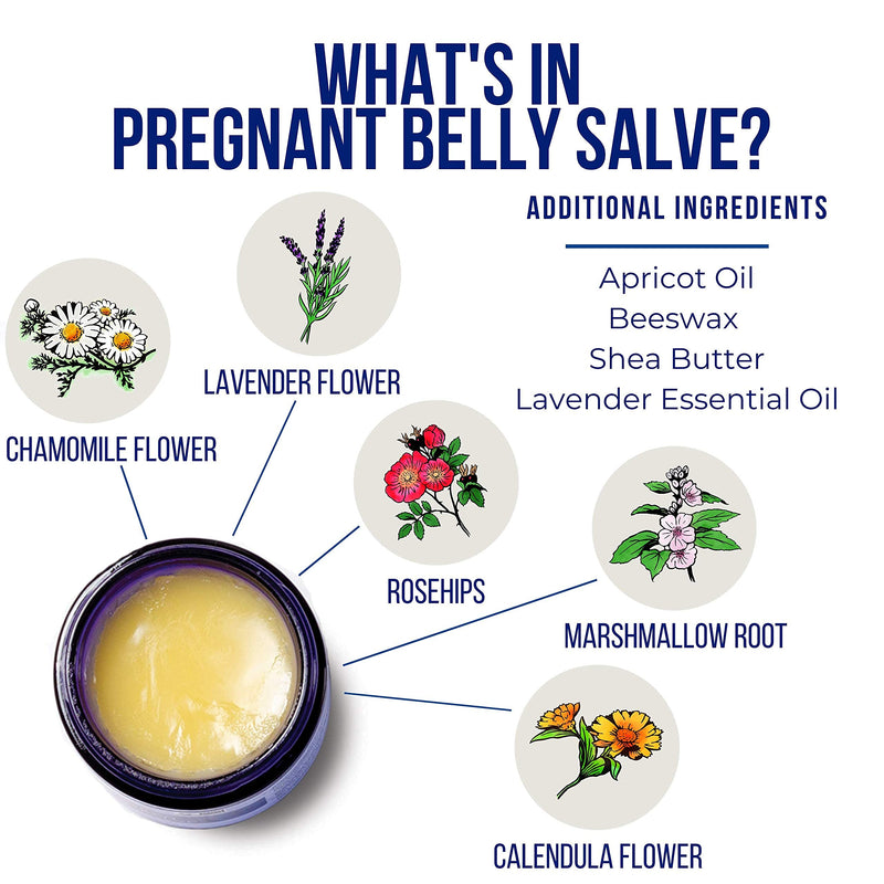 Motherlove Pregnant Belly Salve (4oz) Prevent Stretch Marks During Pregnancy & Soothe Itchy Skin—Herb-Infused Moisturizer w/ Lavender & Shea Butter—Organic Herbs, Non-GMO, Cruelty-Free 4 Fl Oz (Pack of 1) Standard Packaging - BeesActive Australia