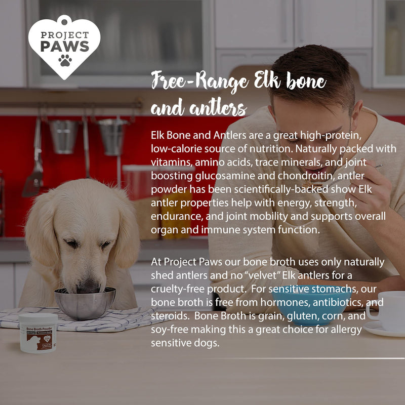 Bone Broth for Dogs with Powdered Elk Antler and Bone - Collagen and Mineral Rich Food Topper for Dogs - Whole Food Superfood Powder Multivitamin for Dogs - 4 oz - BeesActive Australia