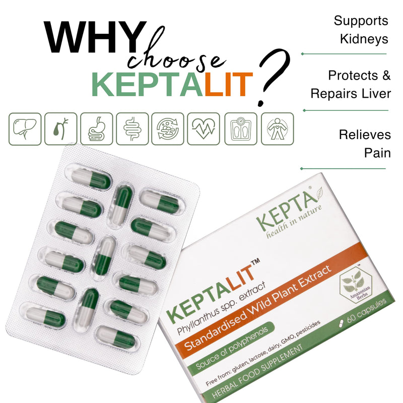 KEPTALIT Natural Liver and Kidney Support Stone Breaker Extract Kidney Cleanse Herbal Supplement Source of Polyphenols - 1 Pack of 60 Capsules - BeesActive Australia