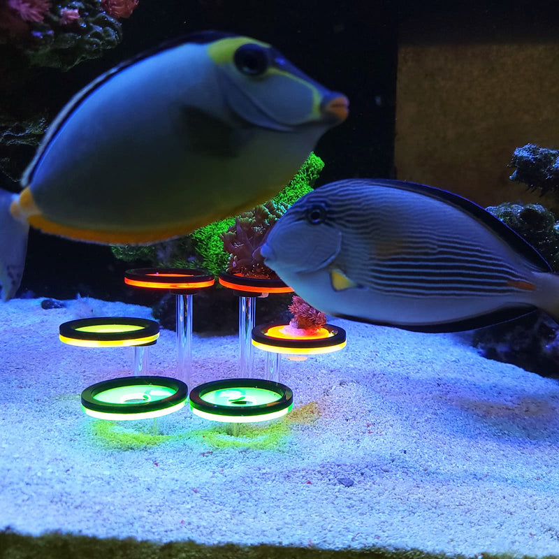 Coral Frag Rack Fluorescent Coral Frag Plug Sand Holder Marine Reef Aquarium Spare Parts Cultivating Live Cora (6 Plug) 6 Plug - BeesActive Australia