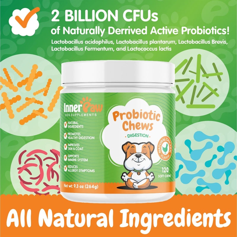 Inner Paw Probiotic Chews for Dogs – 120 Soft Chews Dog Vitamins and Supplements - Natural 2 Billion CFU Dog Digestive Enzymes -Delicious Chicken Flavor – Supports Gut and Immune Health - BeesActive Australia
