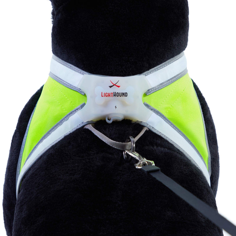 noxgear LightHound – Revolutionary Illuminated and Reflective Harness for Dogs Including Multicolored LED Fiber Optics (USB Rechargeable, Adjustable, Lightweight, Rainproof) Medium - BeesActive Australia