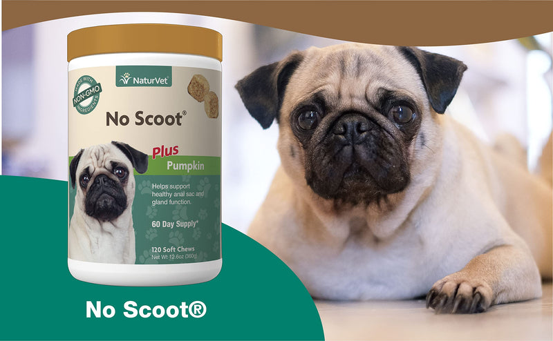 NaturVet - No Scoot for Dogs - Plus Pumpkin - Supports Healthy Anal Gland & Bowel Function - Enhanced with Beet Pulp & Psyllium Husk 120 Soft Chews - BeesActive Australia