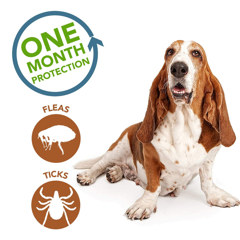 Vet's Best Topical Flea & Tick Treatment for Dogs 16-40lbs, 4 Month Supply - BeesActive Australia